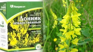 Бу Усимликнинг Фойдаларини Билсангиз ...