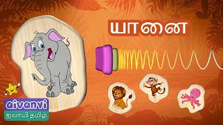 குழந்தைகளுக்கான அடிப்படைத் தமிழ்  - விலங்குகள்  |  Adipadai Tamil - Vilangugal | Learn Tamil Animals