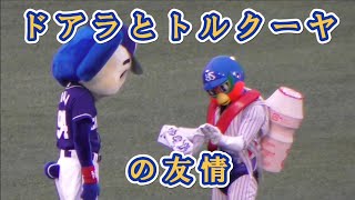 2022/9/2 ドアラとトルクーヤの友情を垣間見る