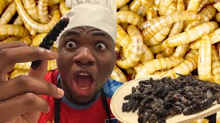 Caterpillars for Dinner🤤🤢 Insect MUKBANG (Mbinzo)