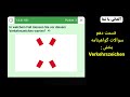 گواهینامه آلمانی با ندا 2025 قسمت دهم 10 ، سوالات آزمون تئوری رانندگی