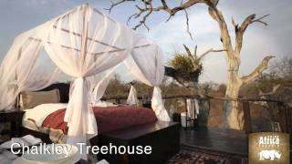 Discover Lion Sands Private Game Reserve | Rhino Africa