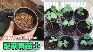 DIY Seedling Soil