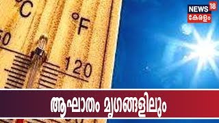 കൊടുംചൂടിൽ വലഞ്ഞ് കേരളം: രാവിലെ 11 മണിമുതൽ 3 മണിവരെ കനത്ത ജാഗ്രത നിർദേശം