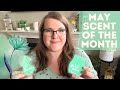 May Scent of the Month Review: Blooming Marvelous! | Scentsy 🌸🌷💚