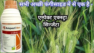 Empect Xtra सबसे अच्छा फफूंद नाशक ।  best fungicide | syngenta company