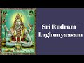 sri rudram laghunyaasam sacred vedic chant bv suryanarayana bhat ghananapati s balaji