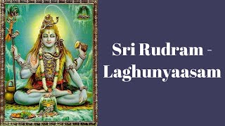 Sri Rudram Laghunyaasam | Sacred Vedic Chant | BV Suryanarayana Bhat Ghananapati | S Balaji