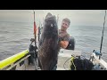 Bucket list 105 pound black grouper on a commercial spearfishing trip