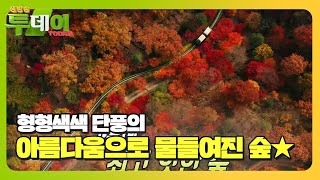 사랑하는 사랑과 함께하고 싶은 힐링 명소 #생방송투데이 #LiveToday #SBSstory