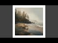 Empty Frames