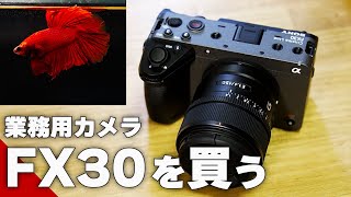 【ゆる動画】FX30を買ったので簡単レビュー&a6400と比較【アクアリウム作例あり】