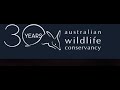 OFFS Talk: Joey Clarke on Australian Wildlife Conservancy