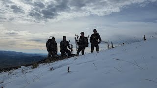 Montana elk hunt