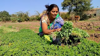 एवढा कडक #उन्हाळ्यात बघा किती लुसलुशीत भाजी आहे शेतात आमच्या🌿🌿💚💃😍