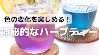 色の変化を楽しめる！神秘的なハーブティー