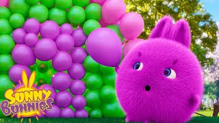 SUNNY BUNNIES - Balloon Pop | Season 6 | Cartoons for Kids