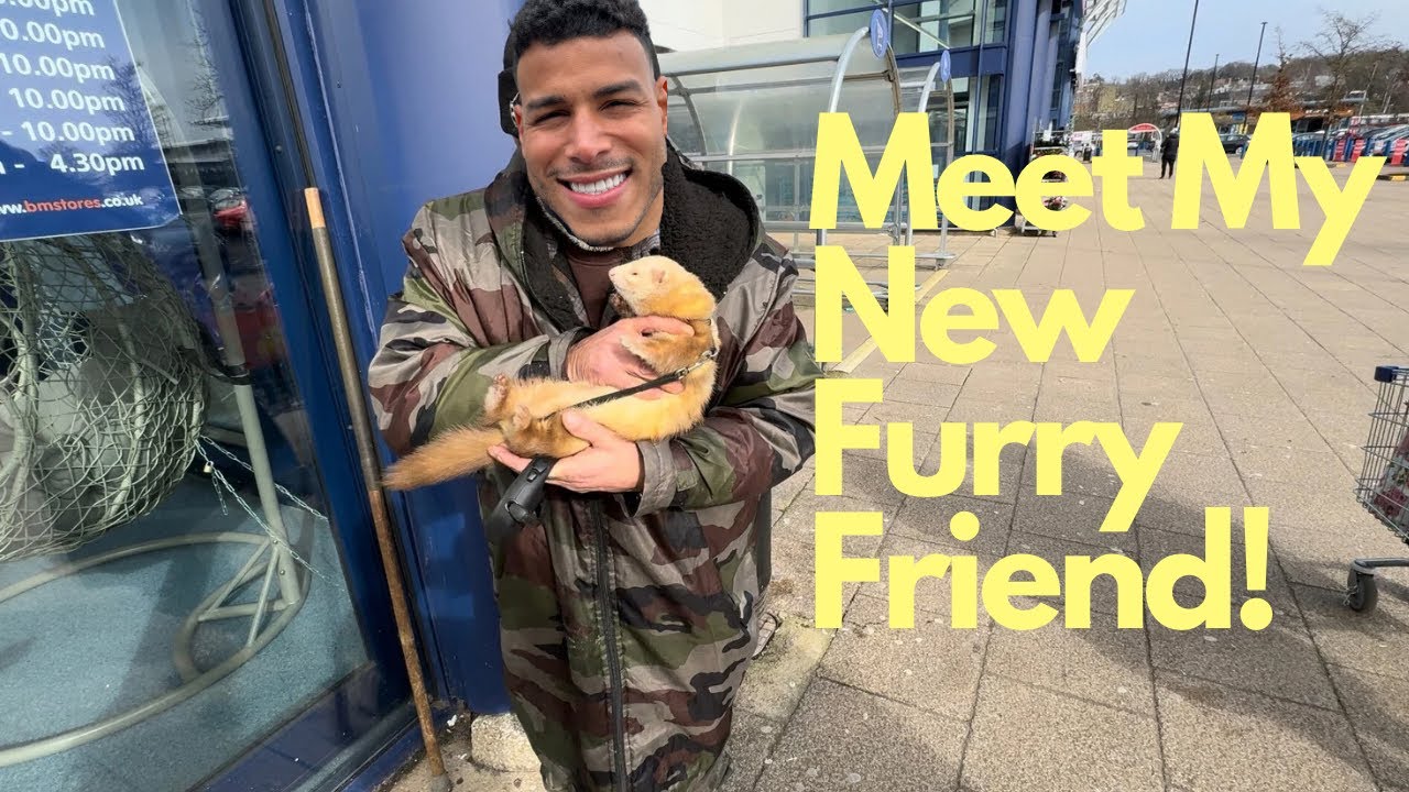 Meet My New Furry Friend Youtube
