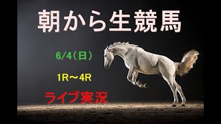 【中央競馬】　朝から生競馬　ライブ配信　（阪神→東京）Horse Racing Commentary