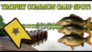 Russian Fishing 4 (RF4) TROPHY COMMON CARP SPOT on OLD BURG LAKE!