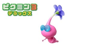 可愛いは正義‼羽ピクミン♪『ピクミン3 デラックス』第7話　PIKMIN３Deluxe