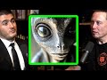 Elon Musk on aliens | Lex Fridman Podcast