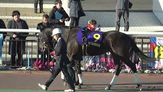 【雲取賞2025】パドック 現地映像 ジャナドリア