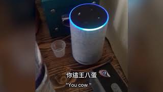 Amazon的Alexa聽不懂蘇格蘭口音 Amazon Alexa Can't Understand Scottish Accent(中文字幕)