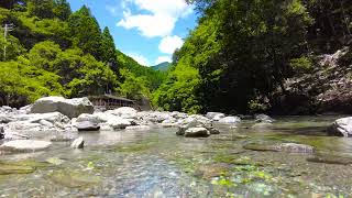 【日本一の清流 4K 】 きれいすぎる仁淀川の日常の風景でリラックス 〜安居渓谷その1・せせらぎの音と鳥の声 〜 /Babbling Brook Sounds of Niyodo river