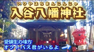 【宮城県本吉郡南三陸町】受験生の味方オクトパス君★入谷八幡神社