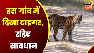 Breaking News: Surajpur के Banaras Road पर नजर आया Tiger, Road पार करता दिखा टाइगर | Latest News