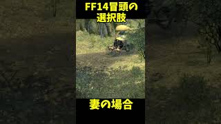 FF１４をやる夫婦　リアクションが同じシーン #shorts