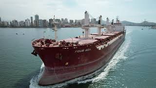 Bulk Carrier \