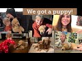 Buying a puppy from Lancaster Puppies, Going into Amish country, puppy scams and puppy mills talk.