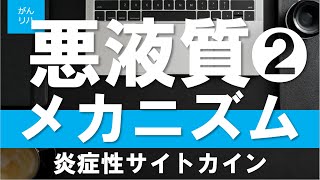 【がんリハ51話】悪液質の病態解釈②炎症性サイトカインがもたらす食思不振と筋萎縮