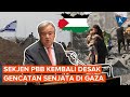 Lagi-lagi PBB Desak Gencatan Senjata di Gaza