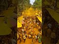 श्री विठ्ठल बिरदेव यात्रा 2023 pattankodoli kolhapur maharashtra festivalofcolors woi haldi