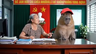 Capybara và bà siêu quậy phần 2