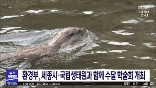 환경부, 세종시·국립생태원과 함께 수달 학술회 개최/대전MBC