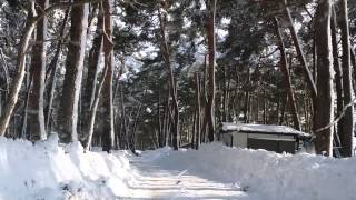 猪苗代湖へ行く雪道