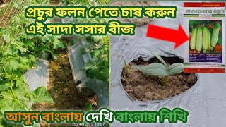 আগাম গরমের সাদা শসার বীজ।৩০ শতক জমিতে রমজান টার্গেটে শসা চাষ।এখন কিভাবে শসা বীজ লাগাবেন দেখুন।সসাচাষ