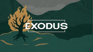 Exodus Bible Study 2/5/2025