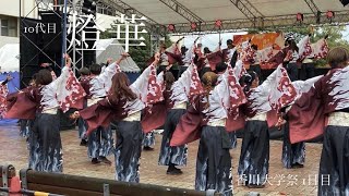 香川大学よさこい連風華 2023 香川大学祭 10代目 2023年度演舞『燈華』