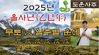 2025년 을사乙巳년 무戊토 일간 일주별 운세_무인, 무오, 무술, 무신, 무자, 무진