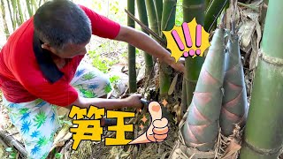 【ENG SUB】調皮娃兒陪劉老九上山砍竹筍，鮮筍炒肉脆嫩可口，超級下飯【竹海劉老九】