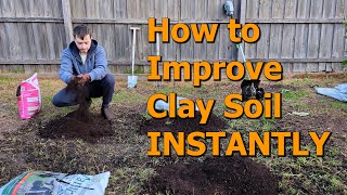 How to IMPROVE Clay Soil INSTANTLY