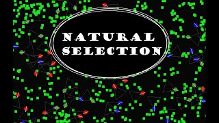 Evolution Simulator (4K)