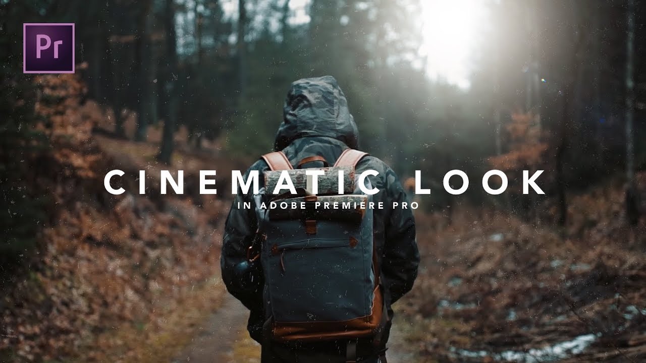 What Is Cinematic Look At Tina Rooney Blog