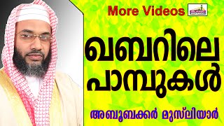 ഖബറിനകത്തെ  99 പാമ്പുകൾ... Islamic Speech In Malayalam E P Abubacker Musliyar New 2014