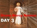 Divine Mercy Novena - Day 3